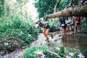 BIB: 
                            <button type="button" onclick="openModal(25461435)" class="btn btn-primary btn-sm float-right btn-popup" data-toggle="modal" data-target=".modal-high-quality">
                        <i class="fas fa-shopping-cart"></i> Add to Cart
                    </button>
                                            <button type="button" onclick="isThisMe(25461435, true)" class="btn btn-success btn-sm float-right btn-popup btn-isme hidden" data-toggle="tooltip" data-placement="bottom" title="นี่คือรูปของคุณใช่ไหม คลิกที่นี่เพื่อเอาเข้าอัลบั้ม">
                        <i class="fas fa-plus"></i> Add to album
                    </button>
                    <button type="button" onclick="isThisMe(25461435, false)" class="btn btn-warning btn-sm float-right btn-popup btn-isnotme hidden">
                        <i class="fas fa-ban"></i> Remove from album
                    </button>